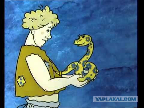 Не дают спокойно поесть