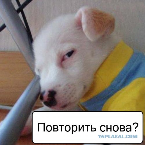 Спорим, зевнешь?))) (28 фото)