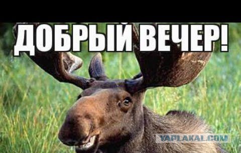 Шальная пуля, встретили называется