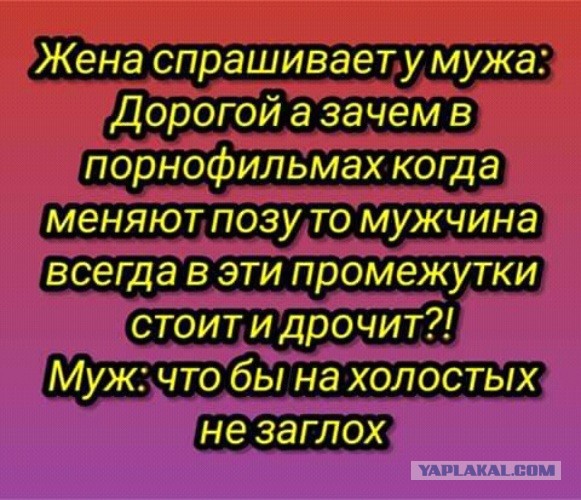 Забавные комментарии из социальных сетей 01.06.20