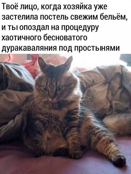Картинки разнообразные. На злобу дня и на доброту (18.06)