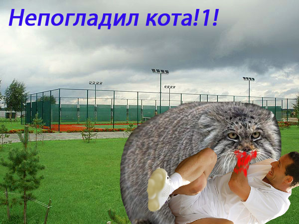 Фотожаба: Бу! А ну отдай мячик!