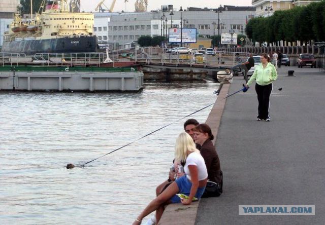 Фотожаба: Прогулка в стиле Му-МУ
