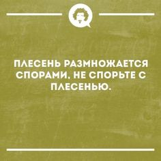 Бредзона 15.10.20