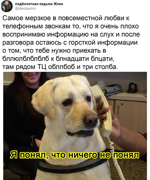 Юмор и прикольные картинки 04.12.2020