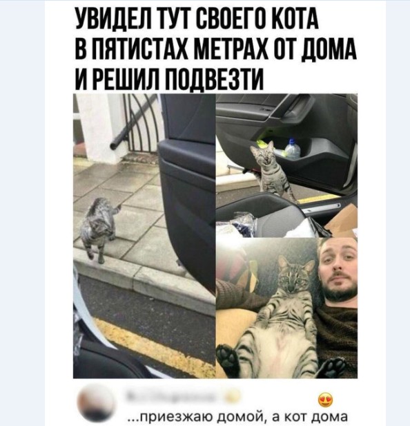 15192412.jpg