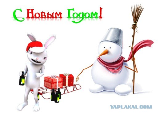 C Новым 2011 Годом!