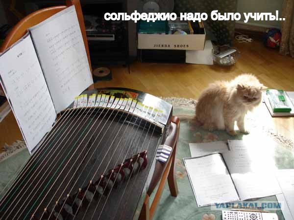 Подскажите, что за мелодия?