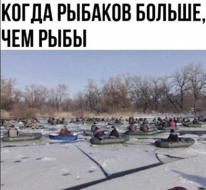 Картинки разные 16.02.2021