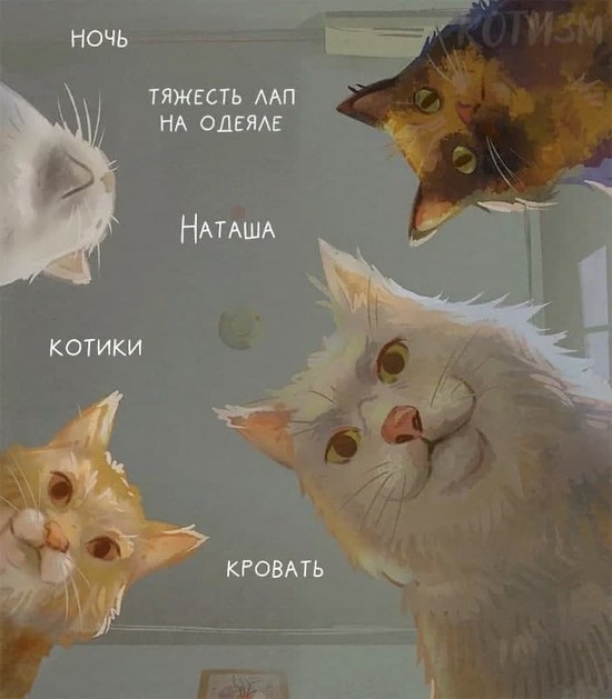 Бредзона и не только