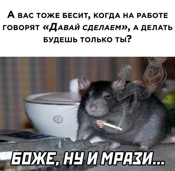 Баянисто-небаянистый юмор 15.05.21