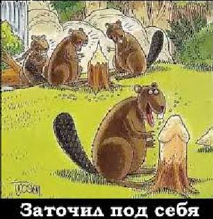 В Ровенской области мужчина провалился в яму, которую сделали бобры, и умер от упавшей сверху лошади