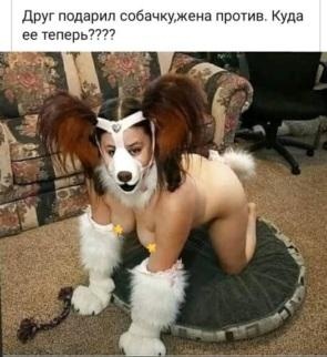 Кретинизмы из сети 03.09.2021