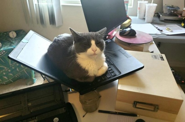 Картинки и мемы для настроения 11.11.2021