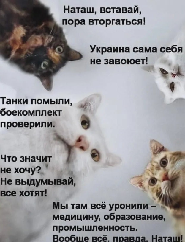 НАТО засчитало российской армии техническое поражение в связи с неявкой на войну
