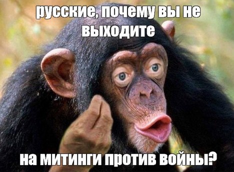 5ая колонна ЯПа