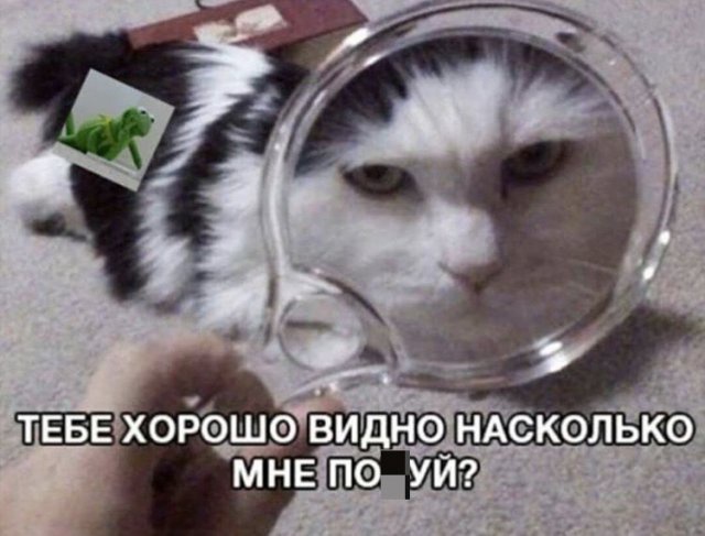 Так себе картинки 07.05.22