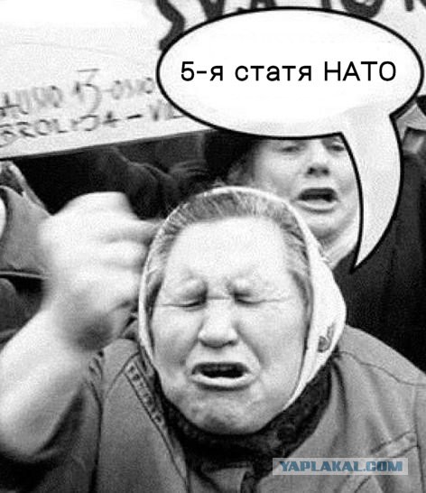 Сенатор Климов намекнул на демилитаризацию Латвии, Литвы и Эстонии.