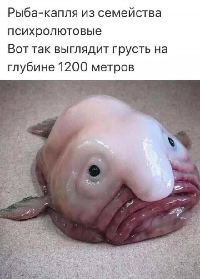 Юмор в картинках и без