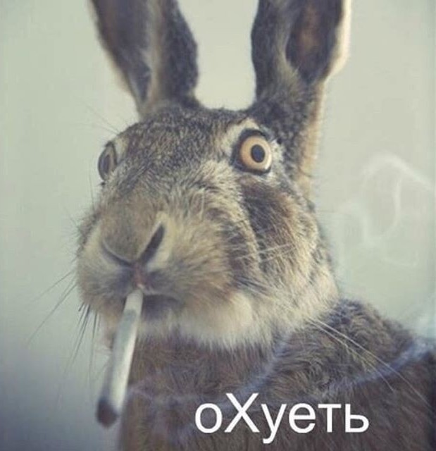 За лотерейным билетом, наверное, побежал