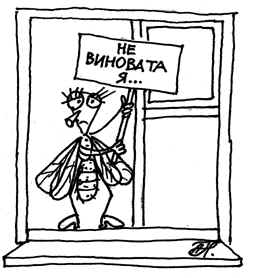 Лучший номинант на премию Дарвина