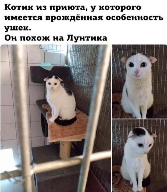 Немного картинок для настроения - 165