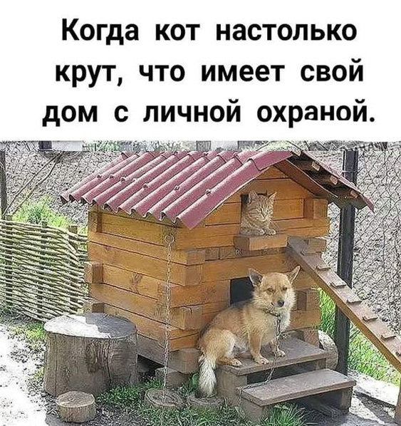 Так себе картинки 24.04.23