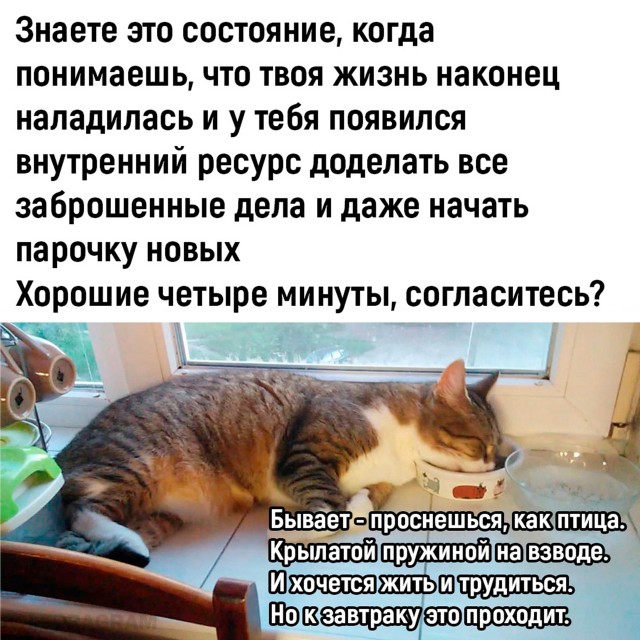 Картинки и мемы, всяко разно - 175
