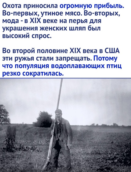 Почему карабины Сайга дешевле конкурентов