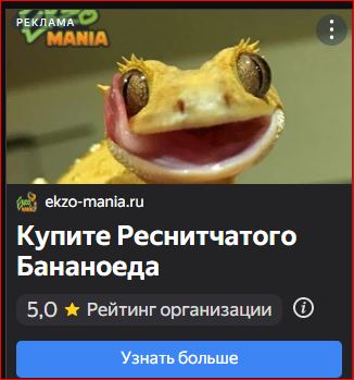 Победная поступь идиотизма по планете – том 15