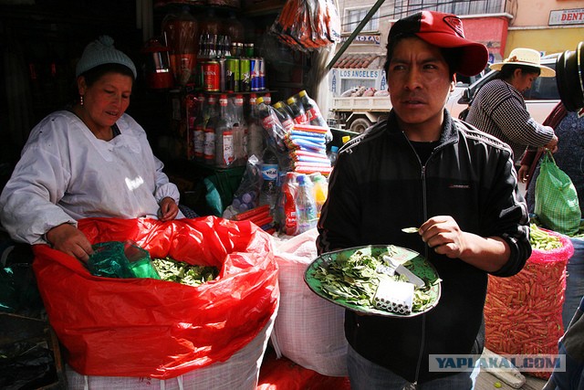 Латинская америка: правила жизни в путешествии