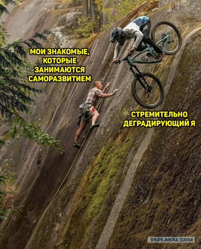 Весёлый полтишок 23.07.23