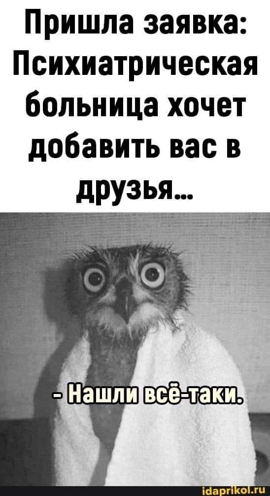 Нуштош 24.07.2024