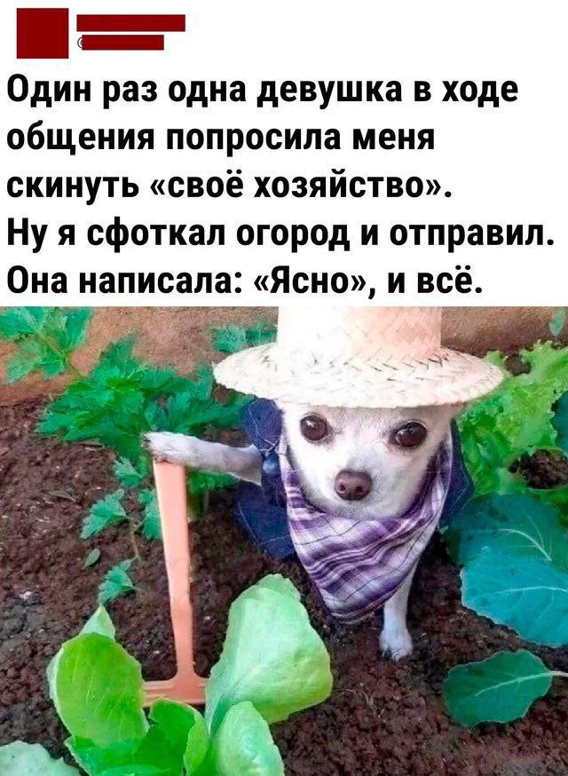 Сборник бабаянов или неожиданная помойка