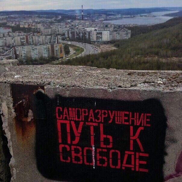 Прикольные и просто красивые картинки 12.11.2024