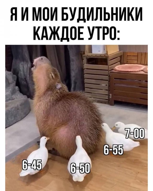 Так себе картинки 29.12.24
