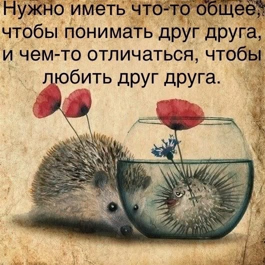 Прикольные и просто красивые картинки 21.03.2025