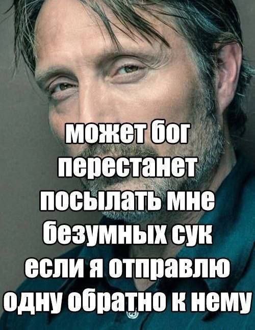 Весёлый полтишок 24.04.25