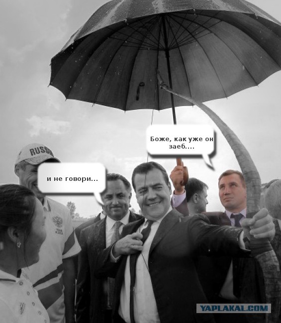 Стрелок