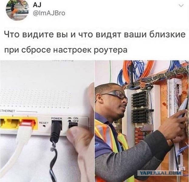 Веселые картинки в пятницу (25.07)