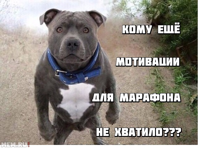 Всю жизнь готовился к этому.