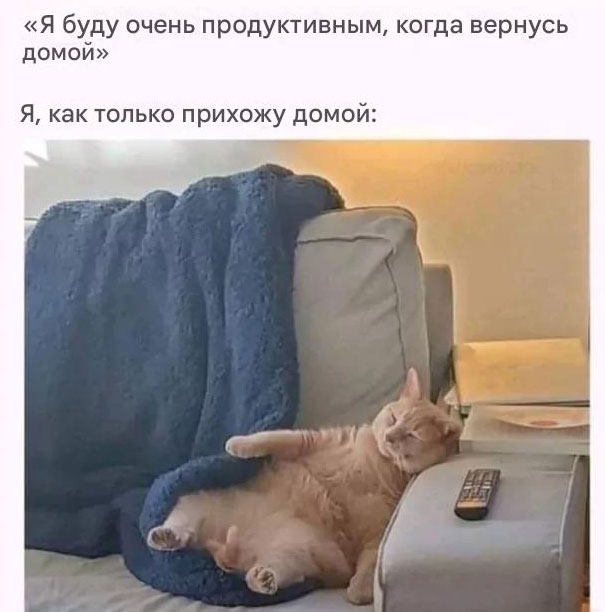 Веселые картинки в маленькую пятницу (24.09)