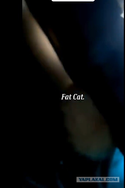 Просто кость широкая