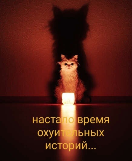 Вот такая история