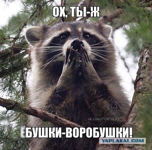 Почему школьницы в Иране важнее медиков в Донбассе?