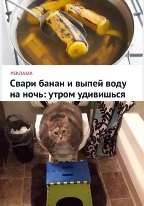К котовторнику: подборка картинок-баянов с котиками и про котиков. Выпуск 33..