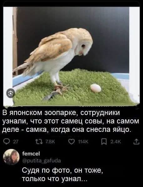 Картиночки, баянчики 06 июня