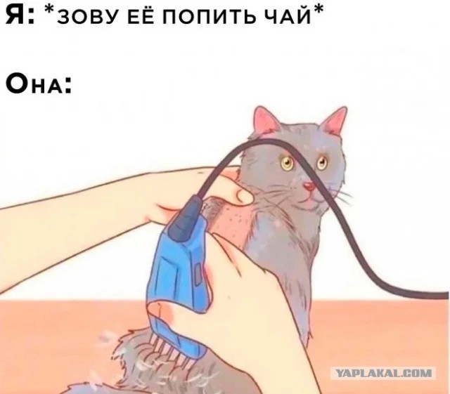 Приколюхи