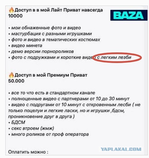 Секс-блогершу Соню Мармеладову задержали за распространение порно