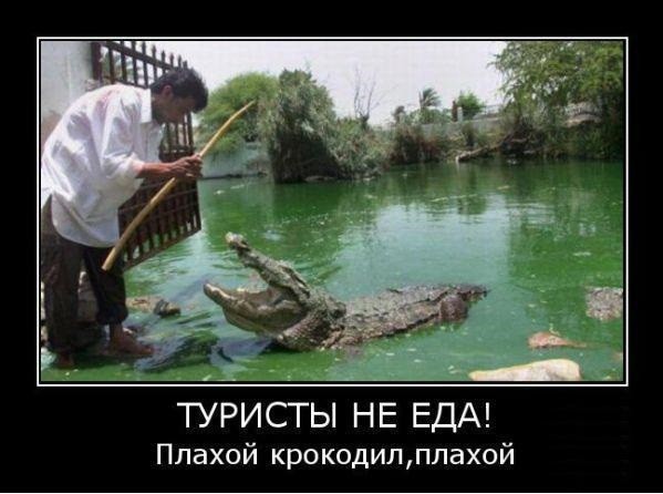 Титаник, бюджетная версия